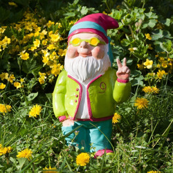 Kleine Gartenzwergkunde