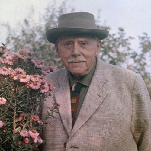 Öffentliche Führung durch "Karl Foerster"-Ausstellung