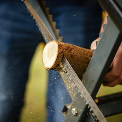 Baumschnitt-Seminare im Herbst