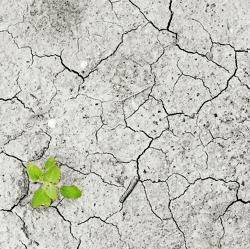 Vortrag zu Klimawandel und Artenschwund