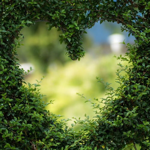 Gartensprechstunde: Kleingarten im Herbst