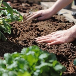 Gartensaison-Eröffnung auf der Wendeschleife