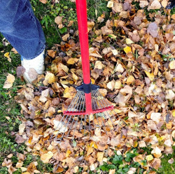 Tipps für den November