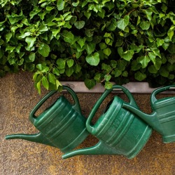 Abkühlung für den Garten
