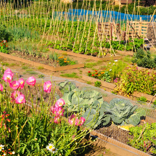 Vielfalt im Garten f&ouml;rdern