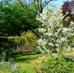 Gartenbegehung Nachkontrolle - weitere erfolgen bei Bedarf!